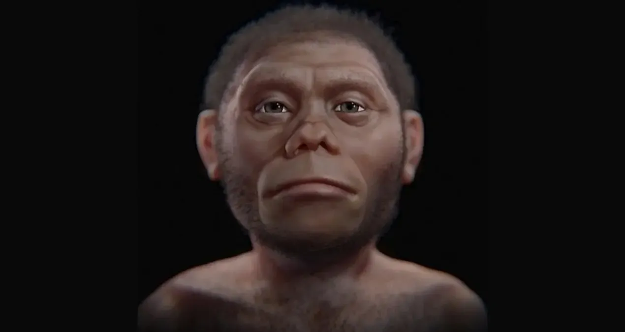 bilim insanlari hobbitlerin neden bu kadar kucuk oldugunu acikladi 545GtWPm