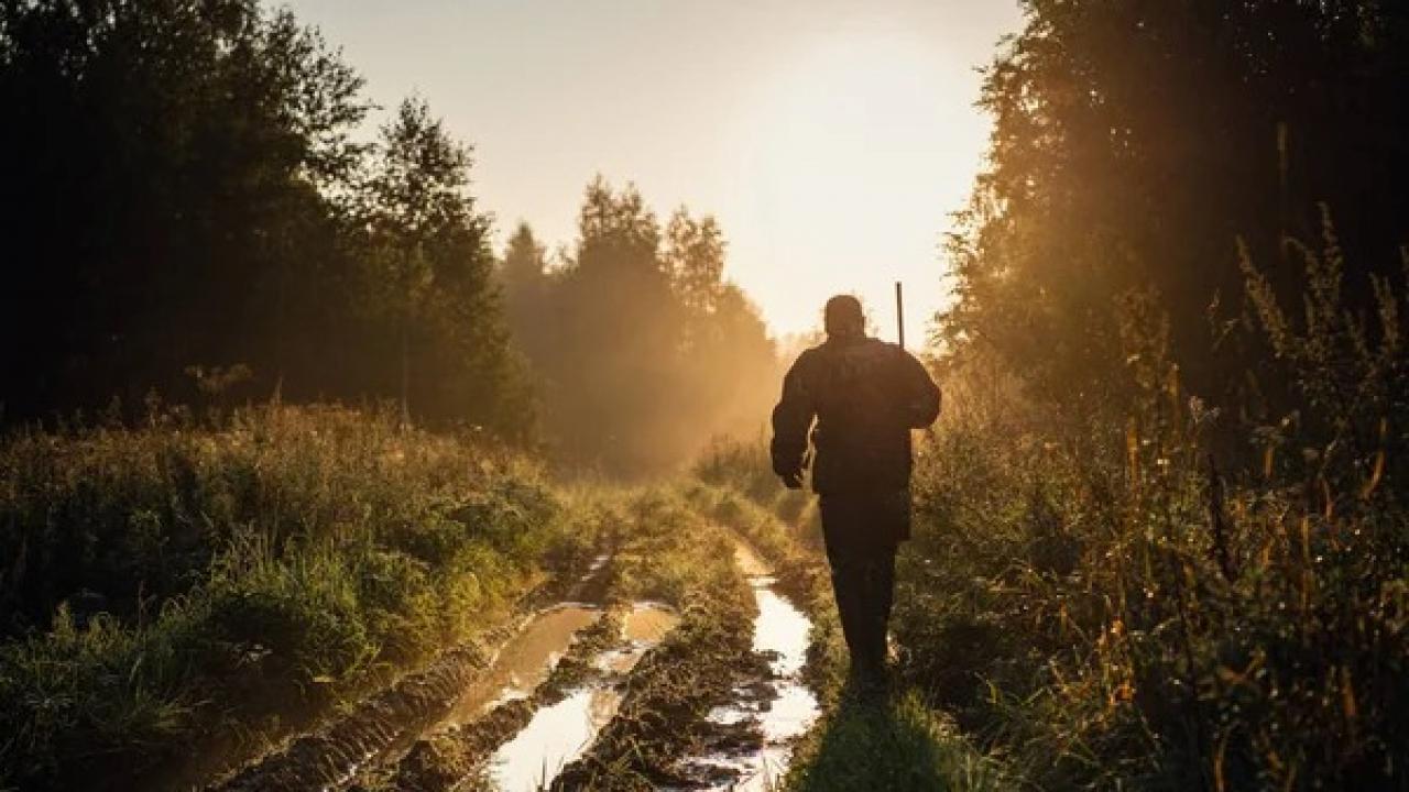 antalyada aci olay domuz avlarken babasini oldurdu YQa9Onm6