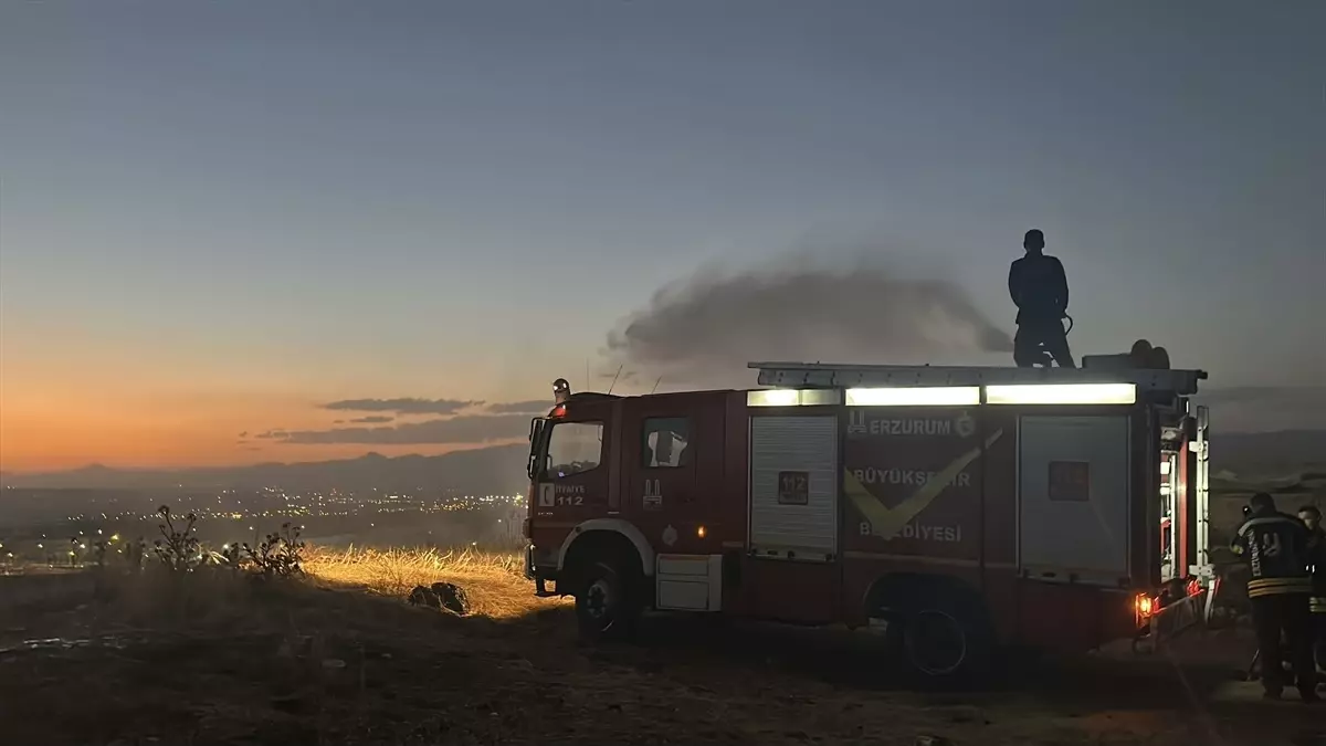 palandokende havai fisek yangini wck3d5Y4