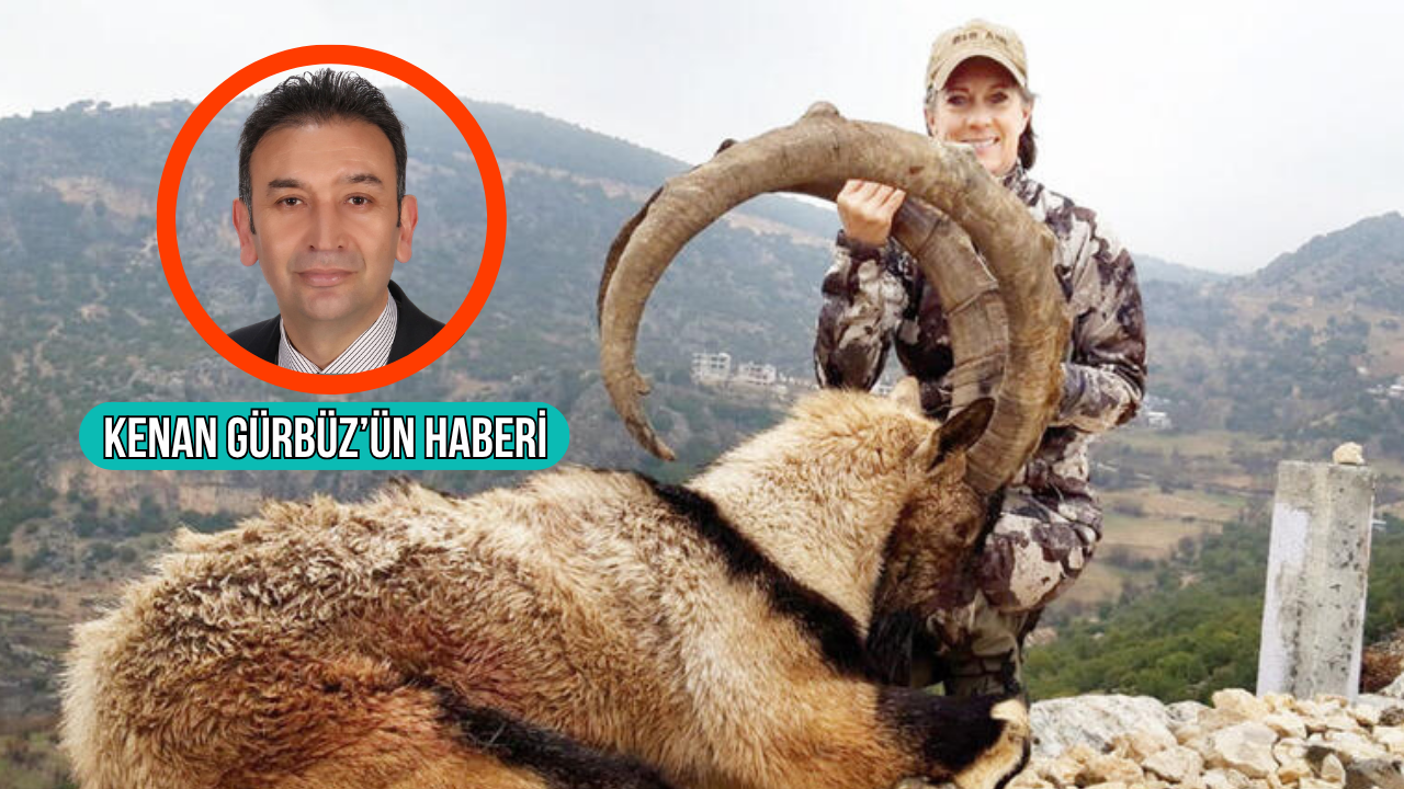 Muglada 2026 2027 av turizmi sezonu kapsaminda yaban kecisi avlamak isteyenler 750 bin ile 15 Hfdb4FEx